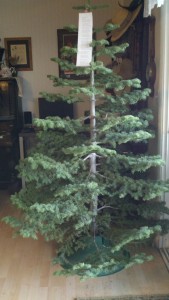 Christmas Tree I'm hoping to be decorated before Christmas