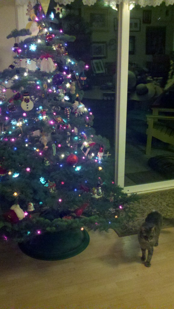 The tree - decorated